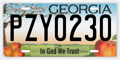 GA license plate PZY0230