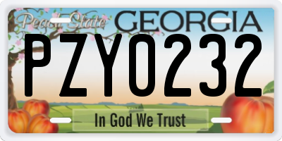 GA license plate PZY0232