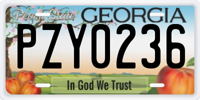 GA license plate PZY0236