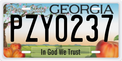GA license plate PZY0237