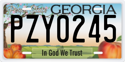 GA license plate PZY0245