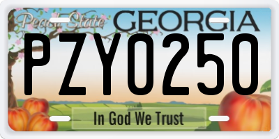 GA license plate PZY0250