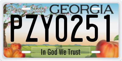 GA license plate PZY0251