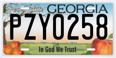 GA license plate PZY0258