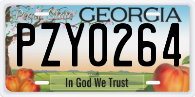 GA license plate PZY0264