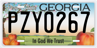 GA license plate PZY0267