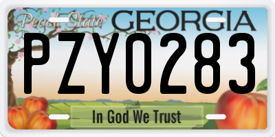 GA license plate PZY0283