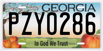 GA license plate PZY0286