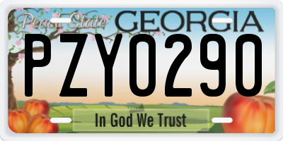 GA license plate PZY0290