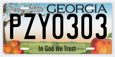 GA license plate PZY0303
