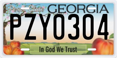 GA license plate PZY0304