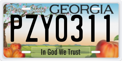 GA license plate PZY0311