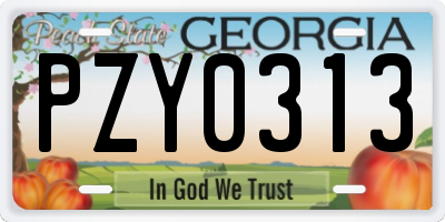 GA license plate PZY0313