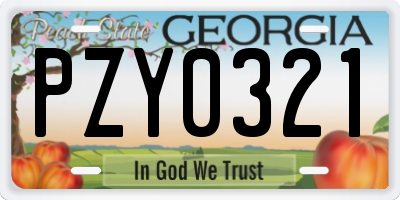GA license plate PZY0321