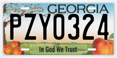 GA license plate PZY0324
