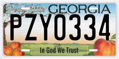 GA license plate PZY0334
