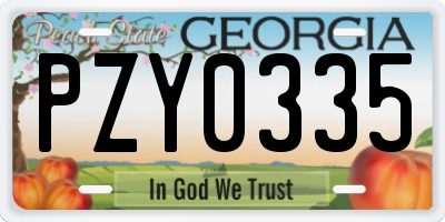 GA license plate PZY0335
