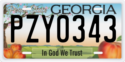 GA license plate PZY0343