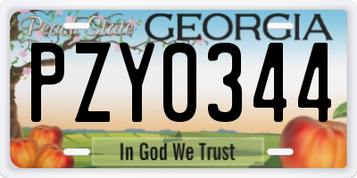 GA license plate PZY0344