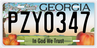 GA license plate PZY0347