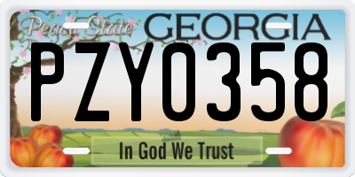 GA license plate PZY0358