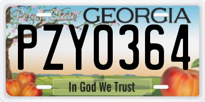 GA license plate PZY0364
