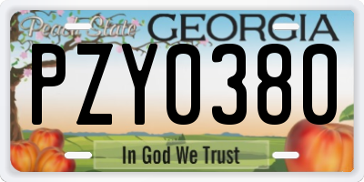 GA license plate PZY0380