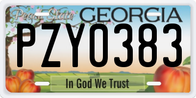GA license plate PZY0383