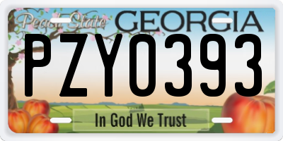 GA license plate PZY0393