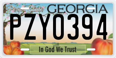 GA license plate PZY0394