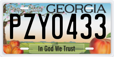 GA license plate PZY0433