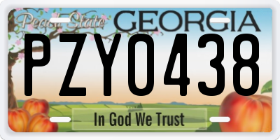 GA license plate PZY0438