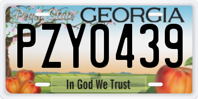 GA license plate PZY0439