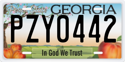 GA license plate PZY0442