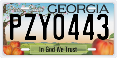GA license plate PZY0443
