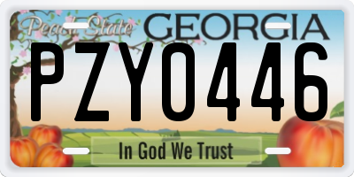 GA license plate PZY0446