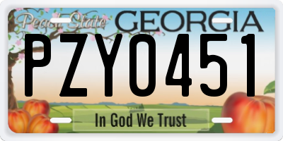 GA license plate PZY0451