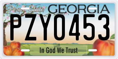 GA license plate PZY0453