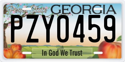 GA license plate PZY0459