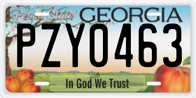 GA license plate PZY0463