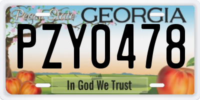 GA license plate PZY0478