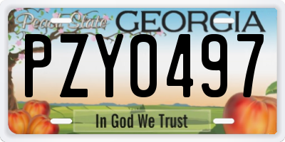 GA license plate PZY0497