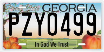 GA license plate PZY0499