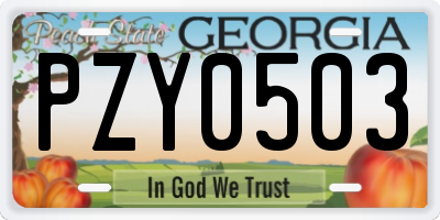 GA license plate PZY0503