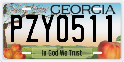 GA license plate PZY0511