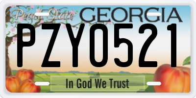 GA license plate PZY0521