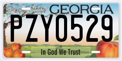 GA license plate PZY0529