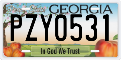GA license plate PZY0531
