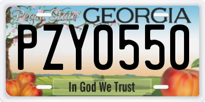 GA license plate PZY0550