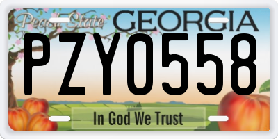 GA license plate PZY0558